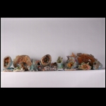 Galactic Reef 10 x 58 x 8 in.jpg